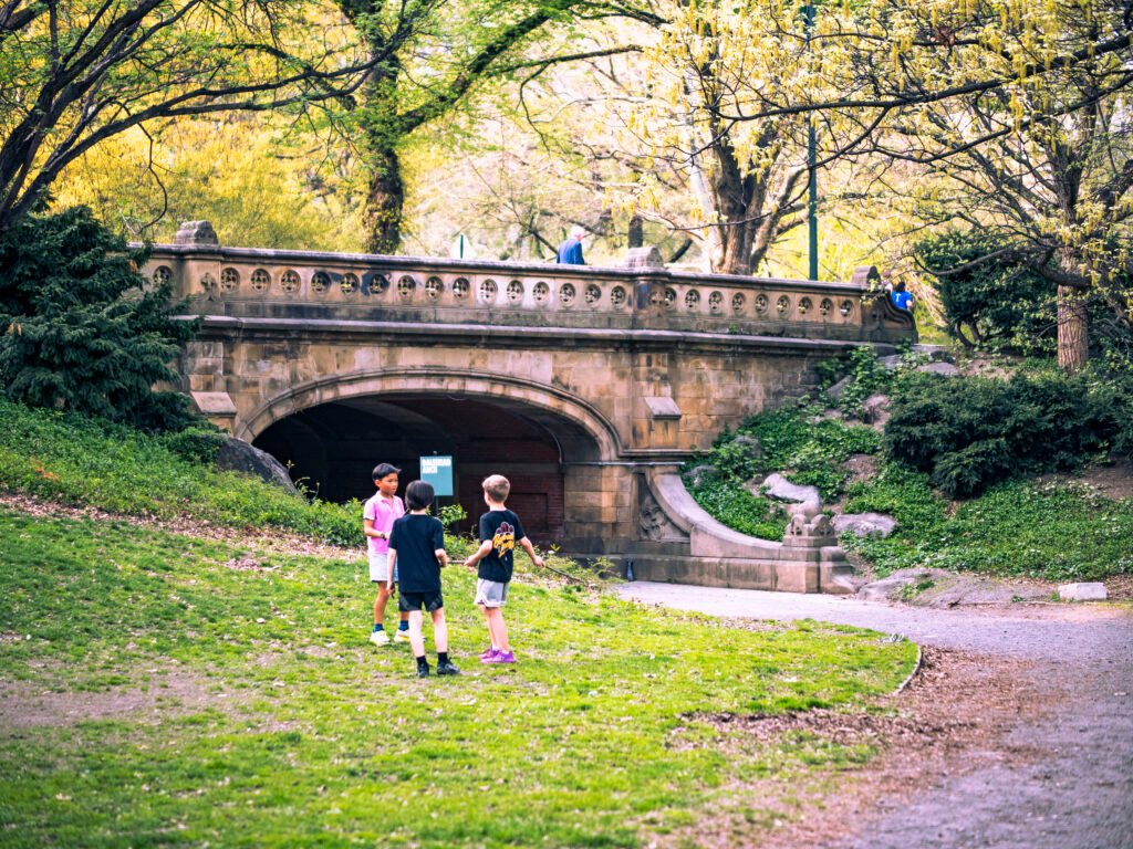 Playdate In Central Park